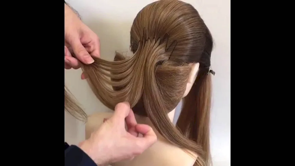 Georgie Cat Hairstyles