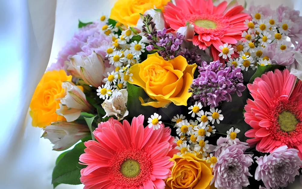 Gerberas Chrysanthemums Mimosa