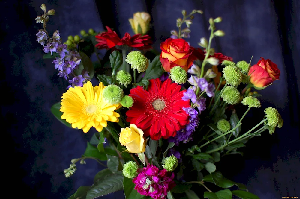 Gerbera flowers