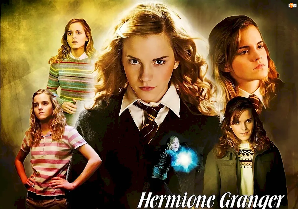 Harry Potter and Hermione Granger