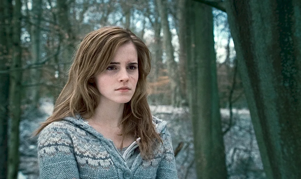 Hermione Granger.