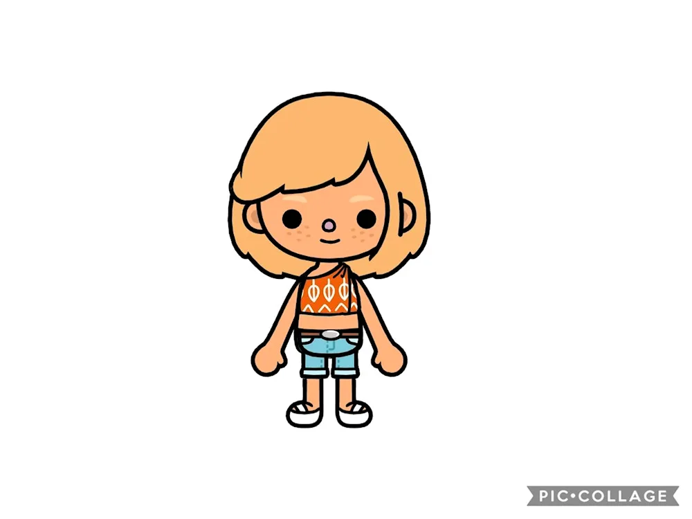 Heroes of toca Life