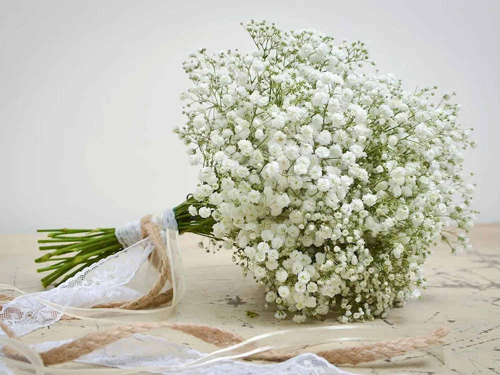 Rose and Gypsophila bouquet