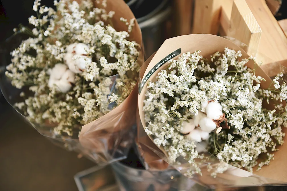 Gypsophila bouquet