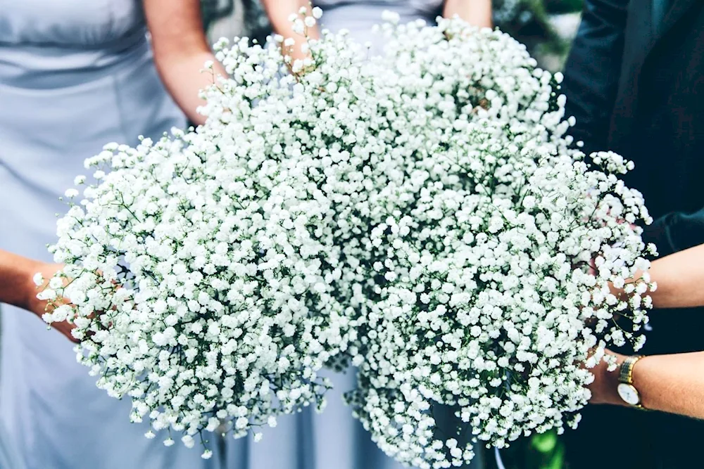 Bouquet of wedding flowers Gypsophila