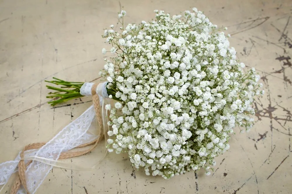 Rose and Gypsophila bouquet