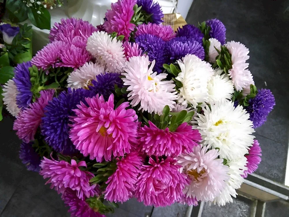 Chrysanthemum Gustav bouquet