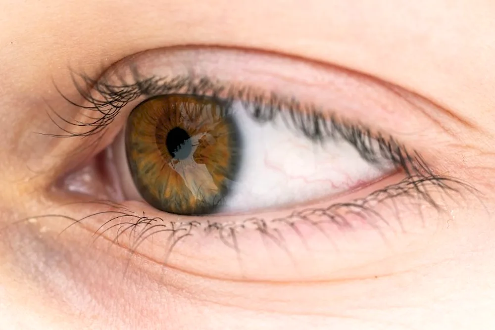 Hazel green eye colour