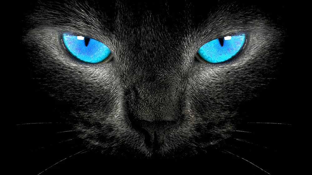 Cat's eyes