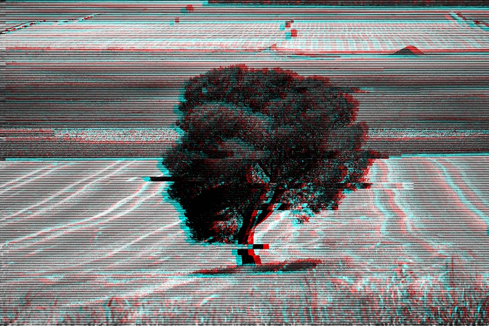Glitch