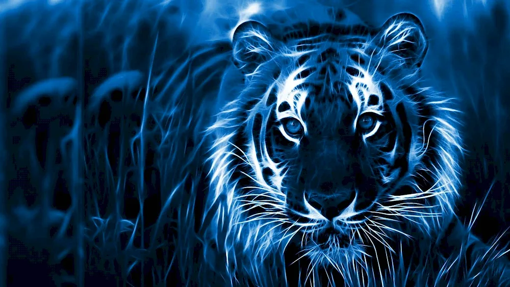 Blue water tiger 2022