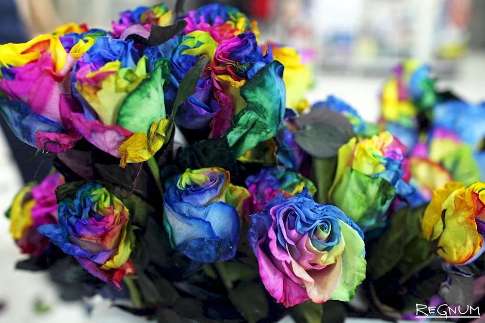 Coloured roses