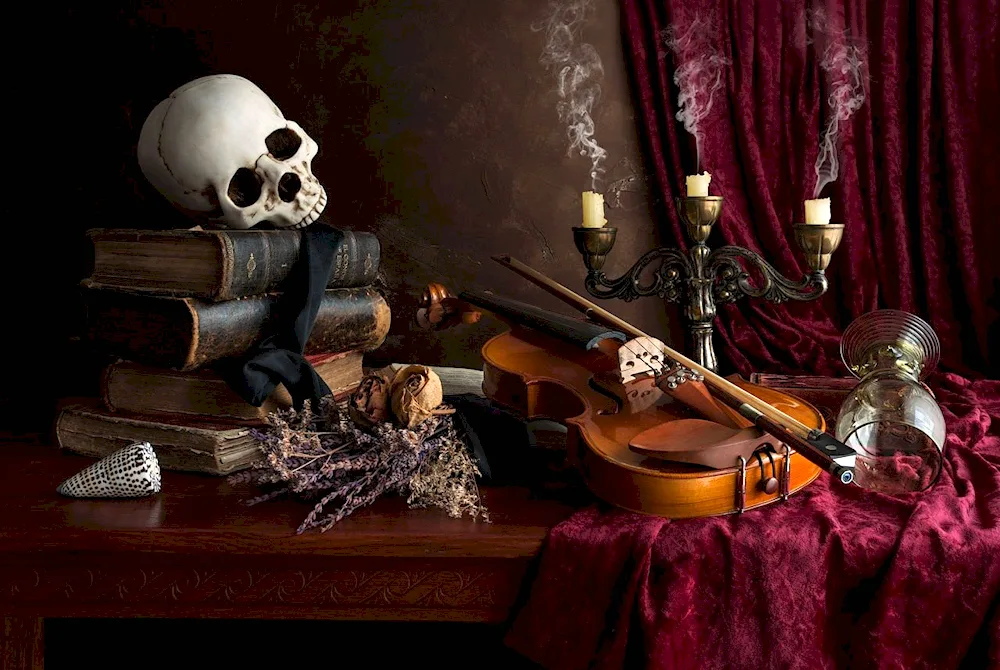Dutch still life Vanitas violin