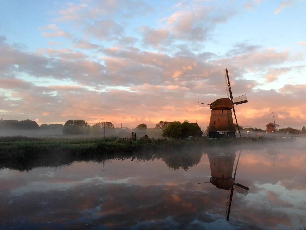 Holland Landscape