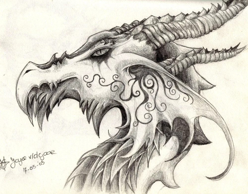 Dragon sketch