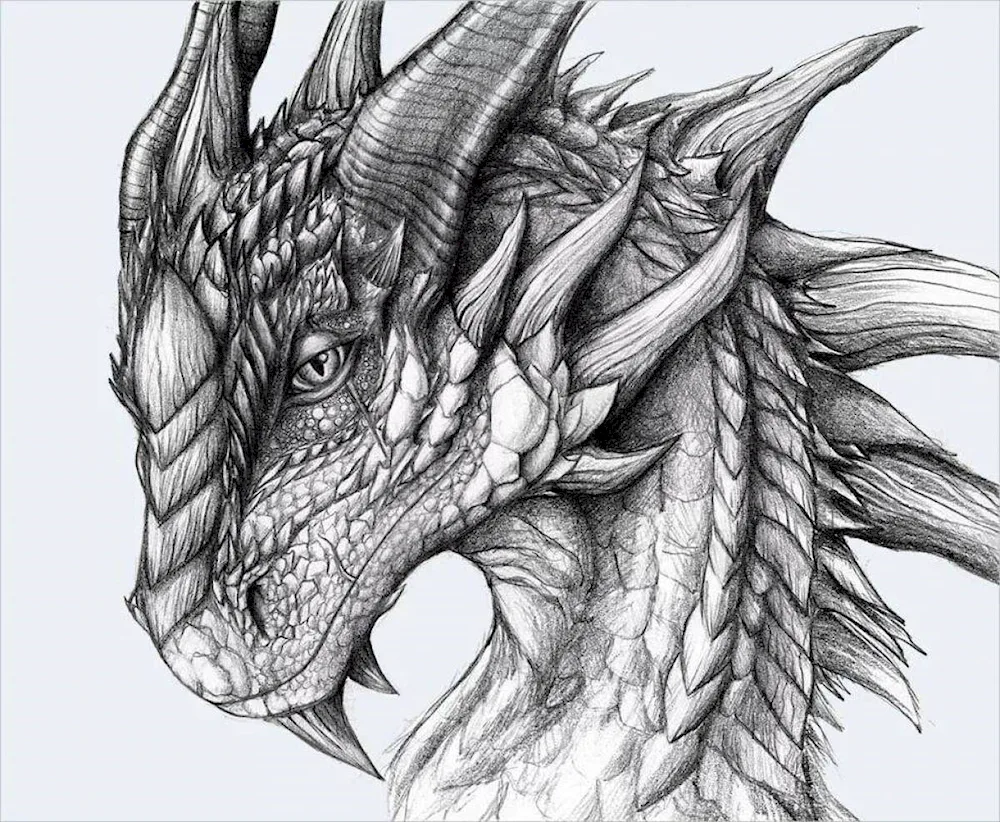 Dragon Head