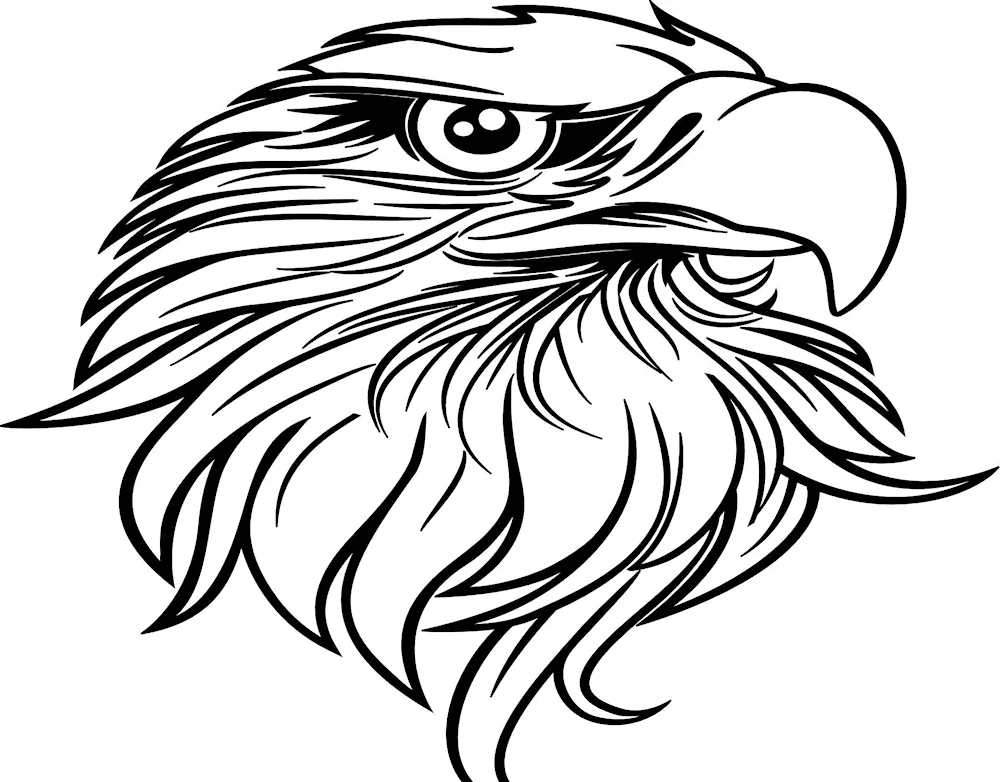 Eagle drawing