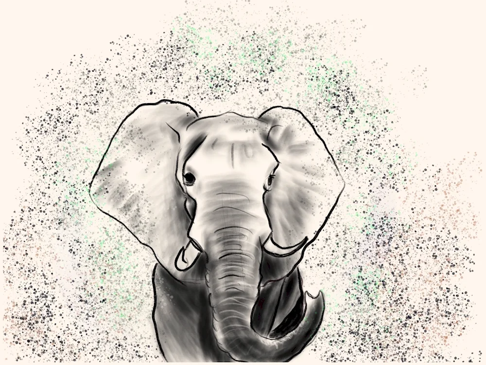 Elephant drawing