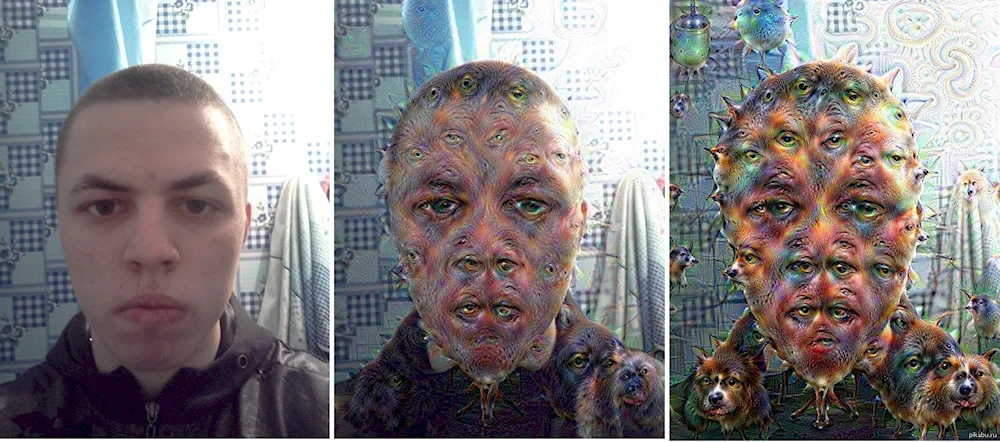 Deep Dream neural network