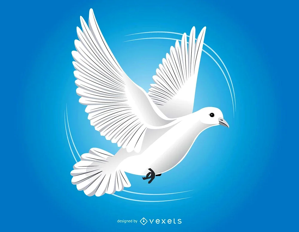 Dove of the world