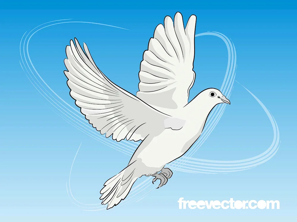 Dove of the world