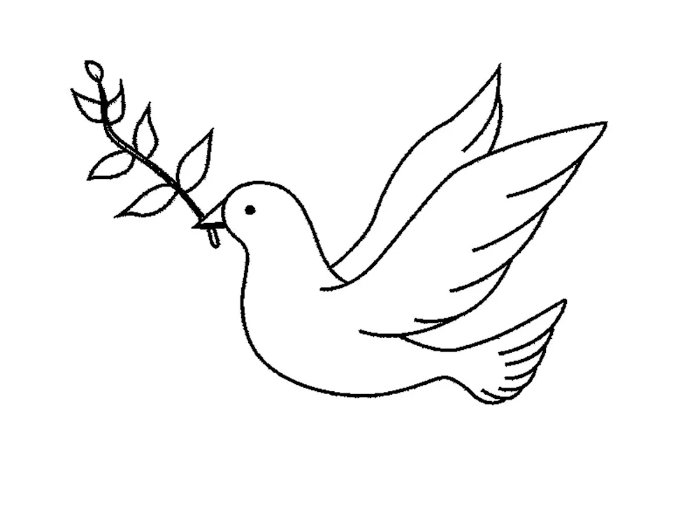 Birds drawing