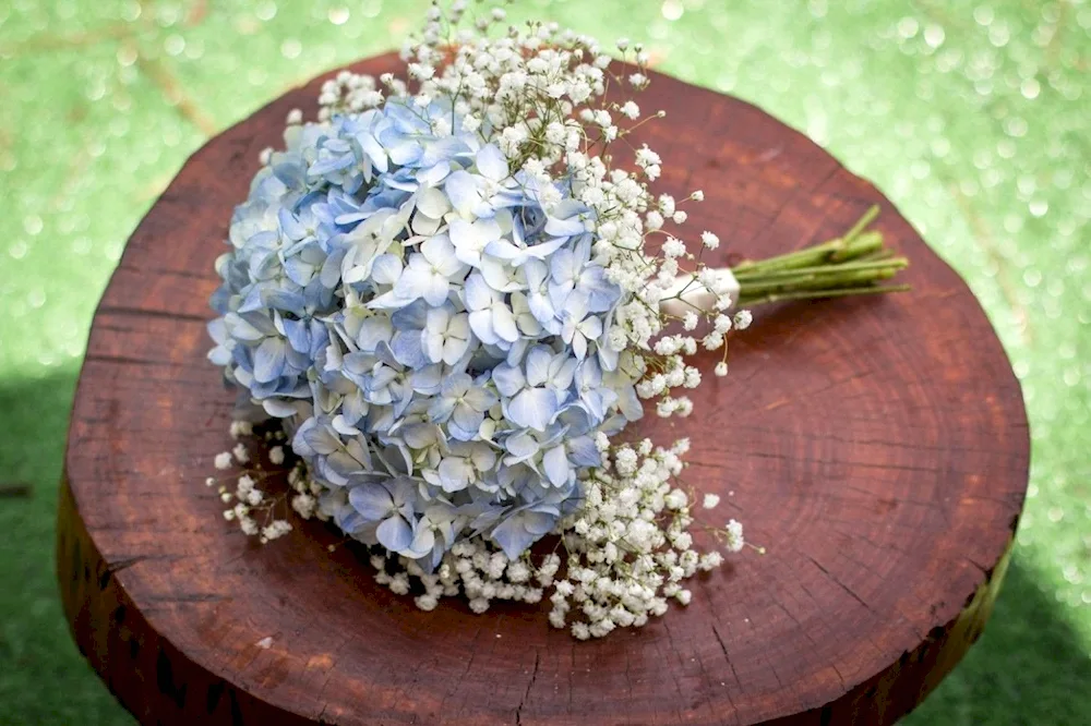 Peonies and Gypsophila