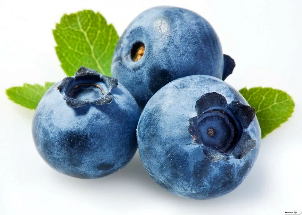 Blueberries Blueberry