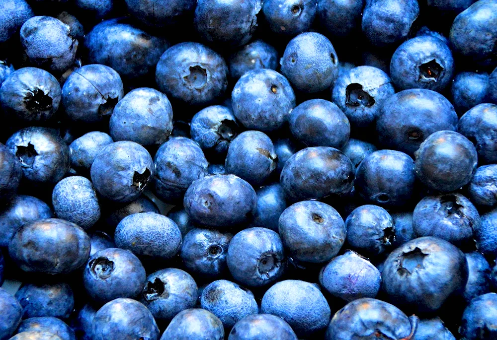 Blue berries