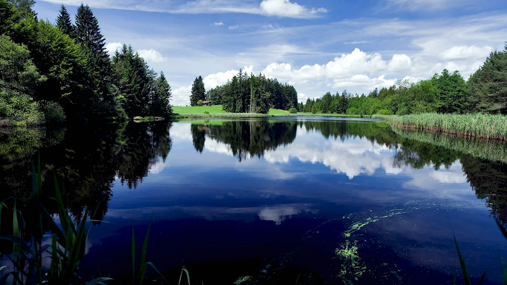 Blue Lake Elektrostalje