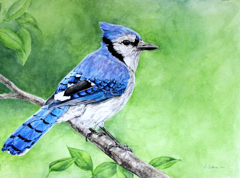 Easy drawing Bird
