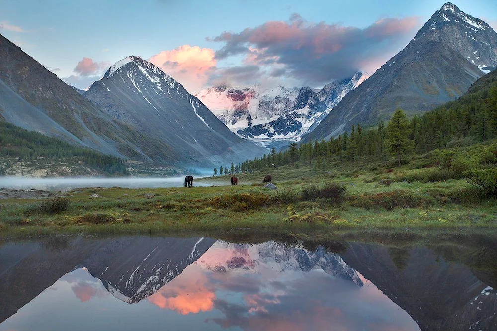 Dombai Mountain Territory