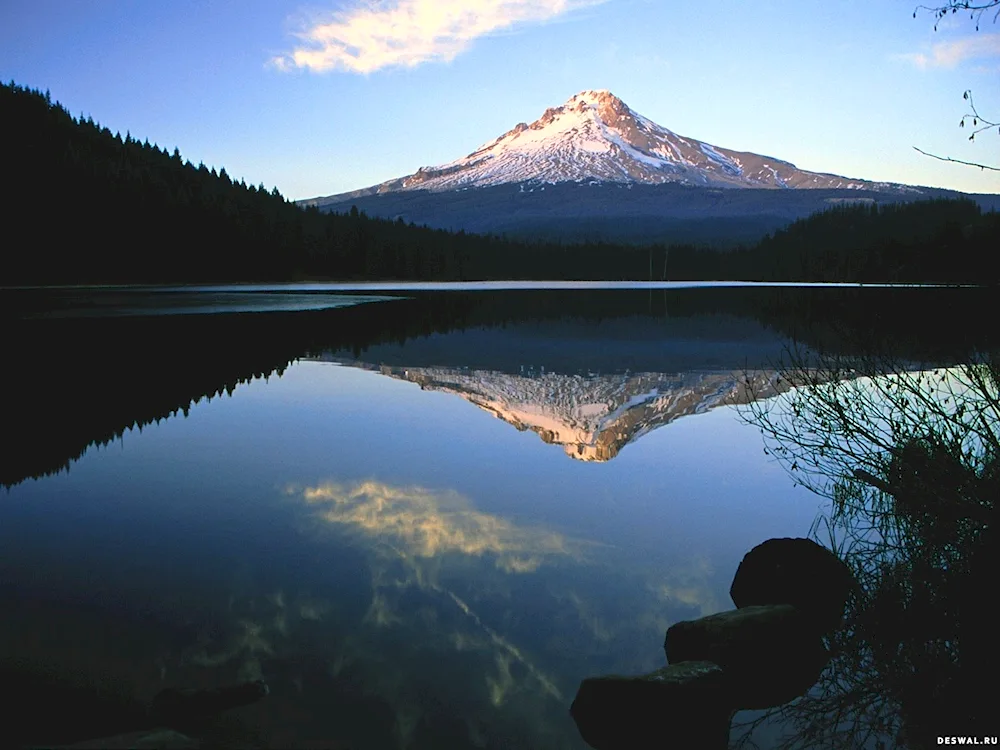 Elephant Mountain Oregon