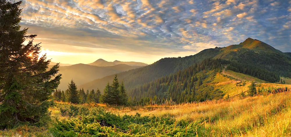 Mount Zlatibor Carpathians