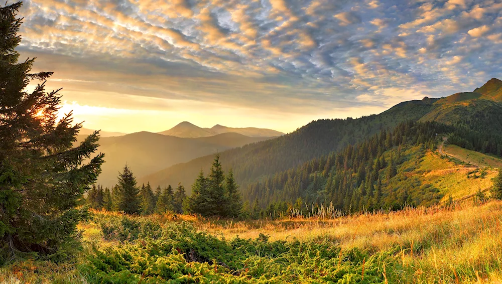 Zlatibor Mountain Carpathians