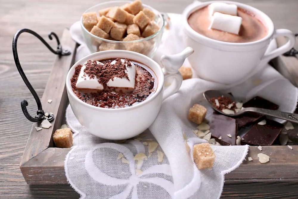 Hot chocolate mug with marshmallow