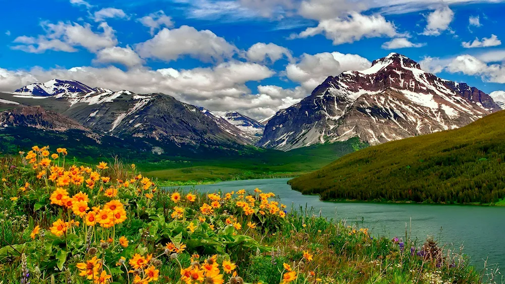 Mountain Altai Alpine Meadows