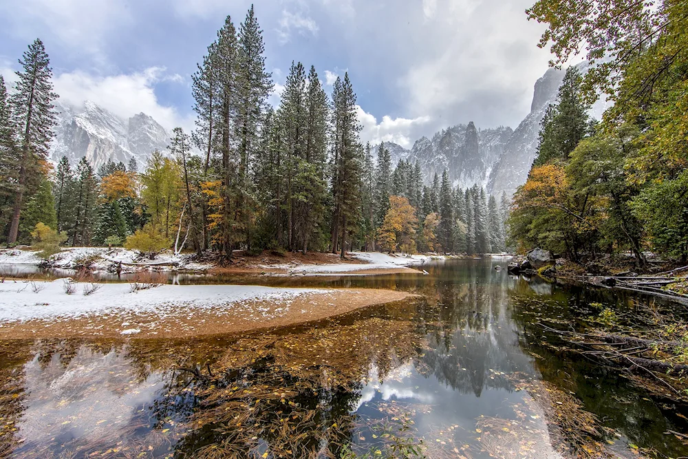 Mountain Altai Taiga Aesthetics