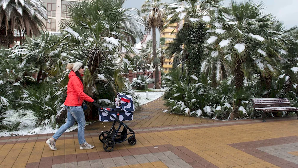 Sochi village in winter