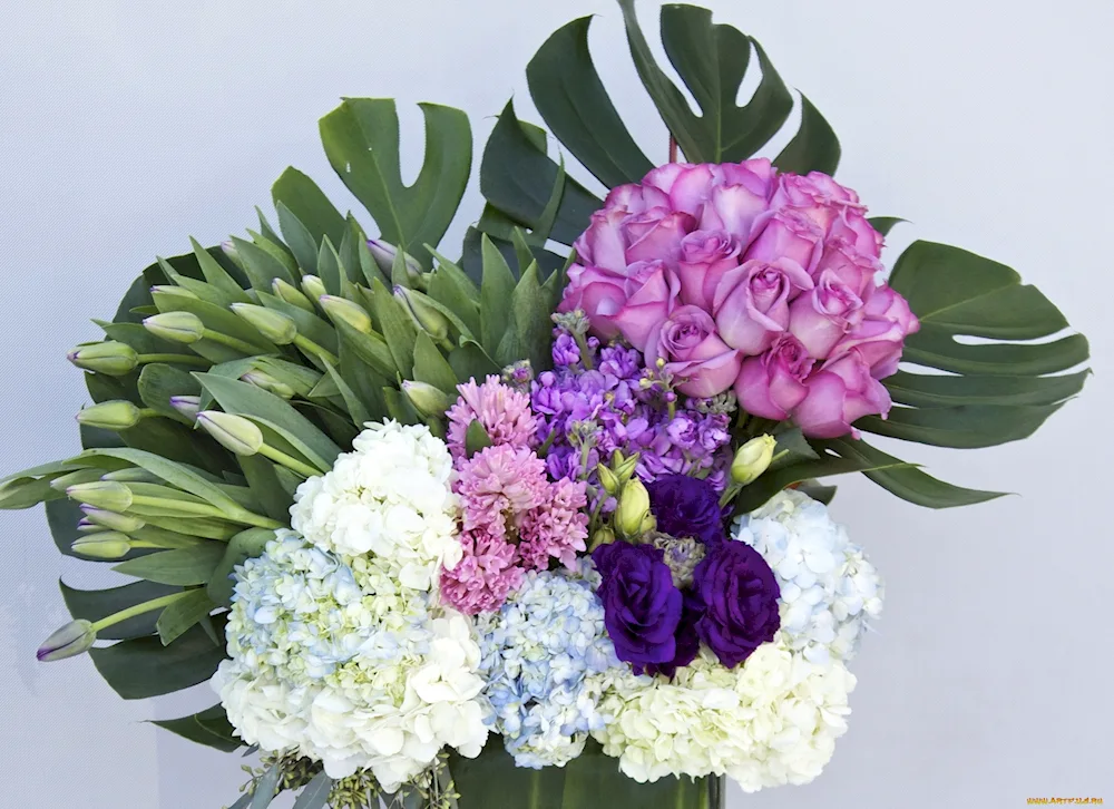 Hortensia and Ranunculus