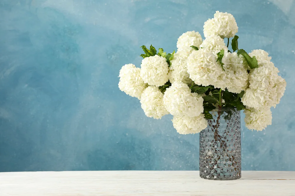 Flowers in a vase