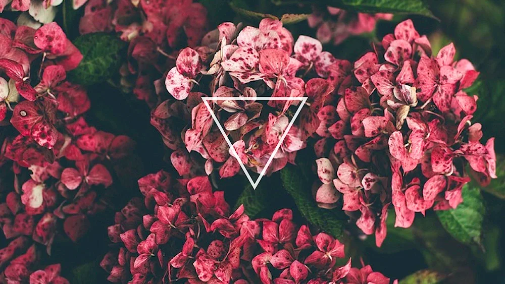 Tickled Pink
