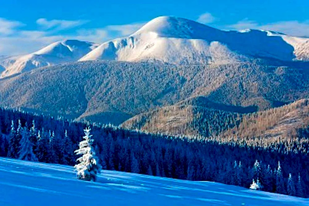 Winter in the Carpathians