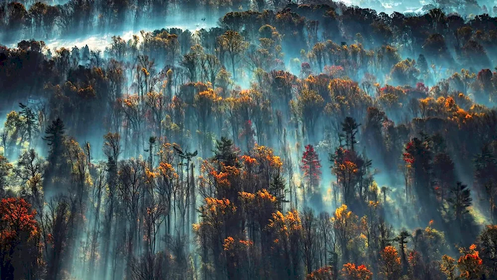 China Firewatch 4k