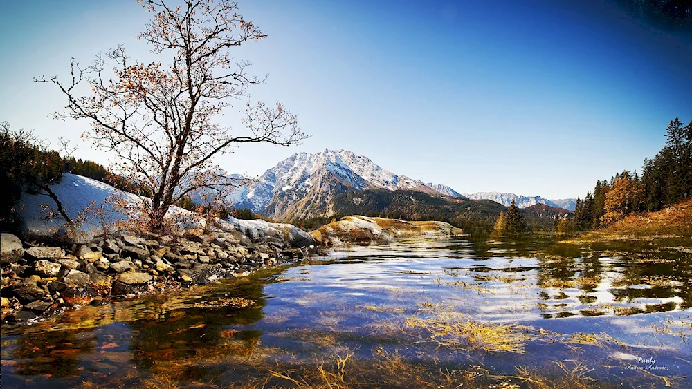 Mountains River Trees Olga Bazanova