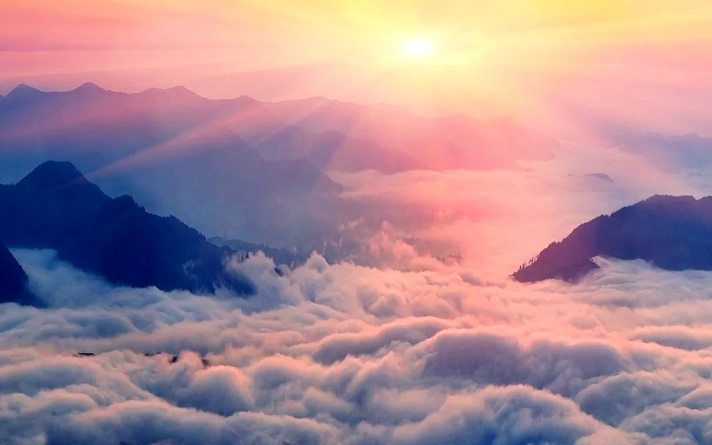 Pastel backgrounds