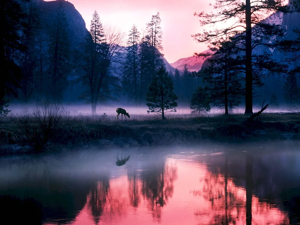 Mountains in the mist