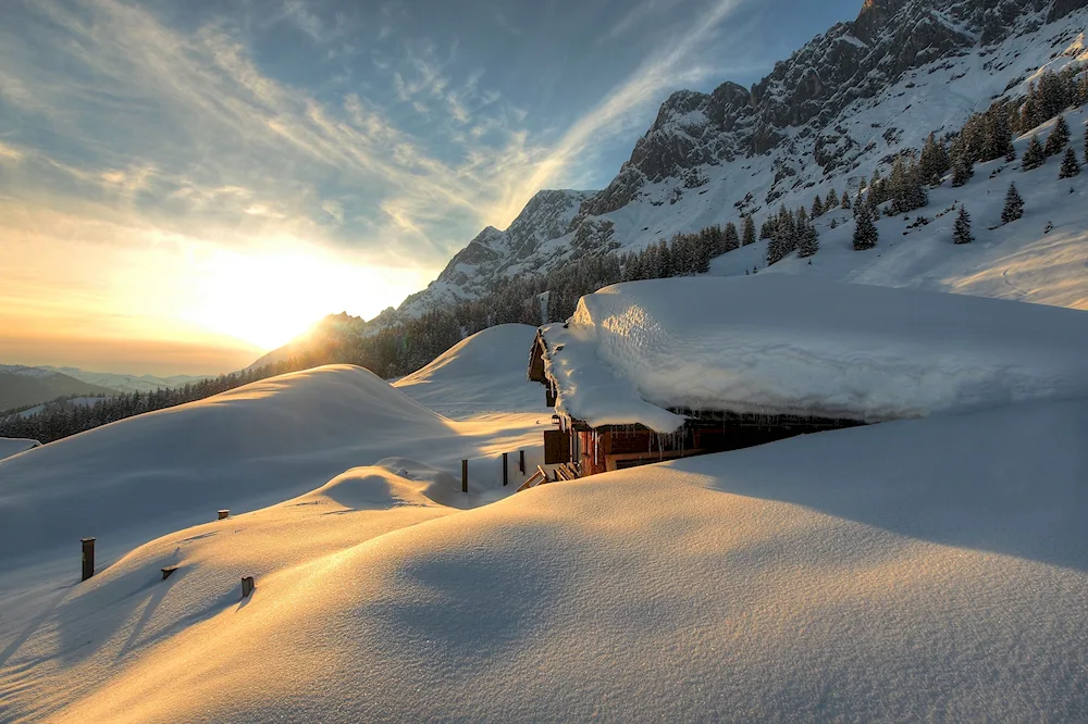 Winter night