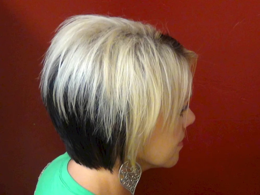 Gradulated leggy bob with short topknot