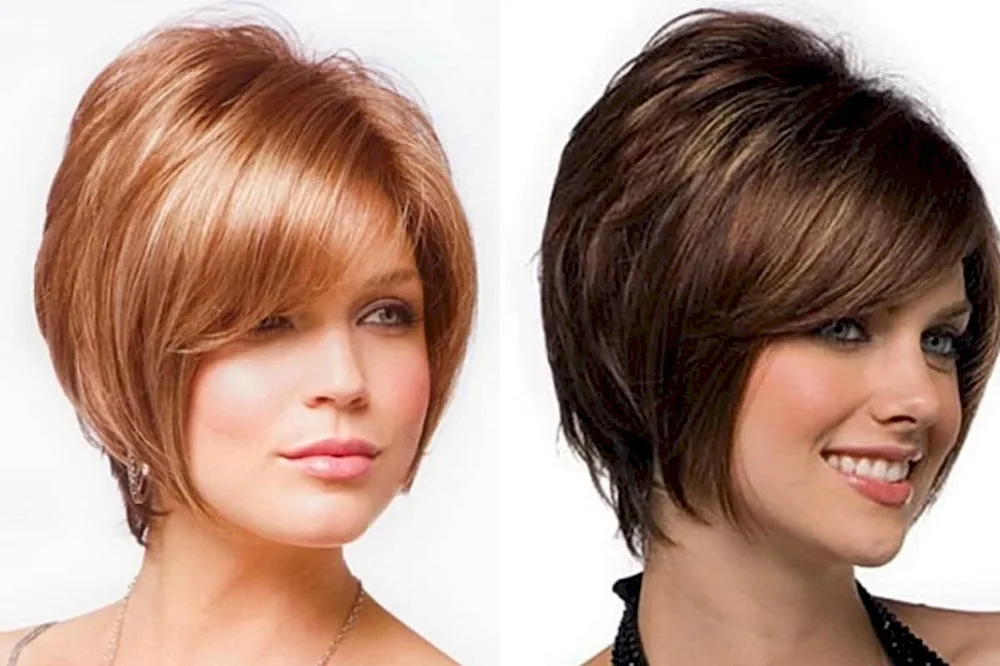 Graduated Pixie Bob